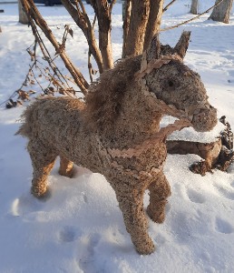 �����������