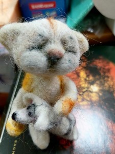 �����������