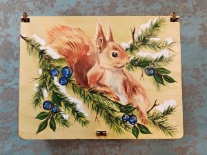 �����������